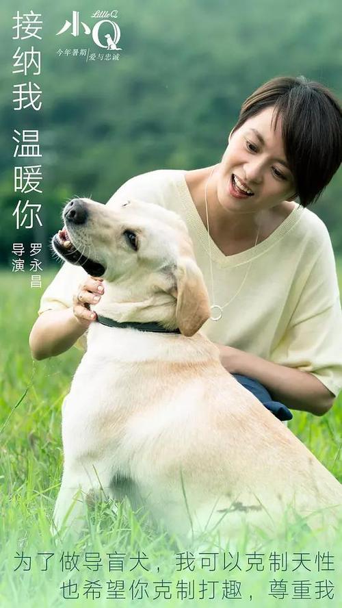 定制高仿东伊利诺伊大学文凭毕业证